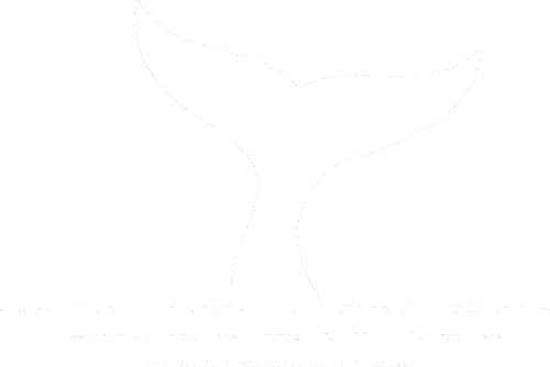 demo.dribs-drabs.com